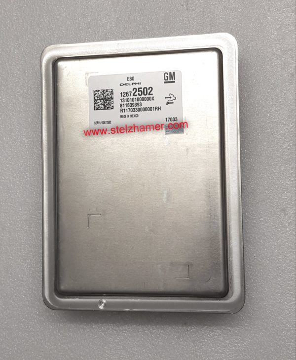 Opel Motorsteuergerät ECU Deplphi /ACDelco E80 GM 12672502  Original NEUTEIL – Bild 2
