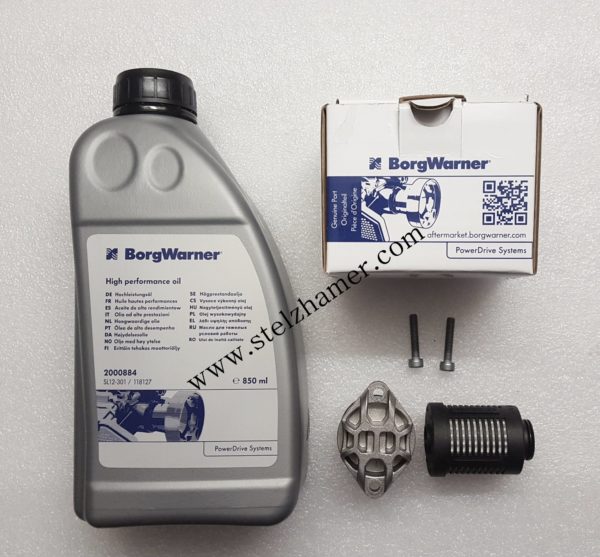 Haldex Vorladepumpe + Filter + Haldex Öl AUDI VAG 0AY598549 113431 0AY598549A 0BS598549 2003085 119866 – Bild 2